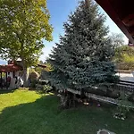 Tzeni Palios * Panteleimon