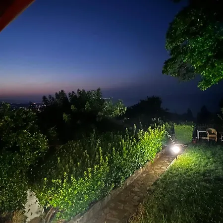 Tzeni Palios فيلة