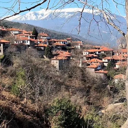 Tzeni Palios