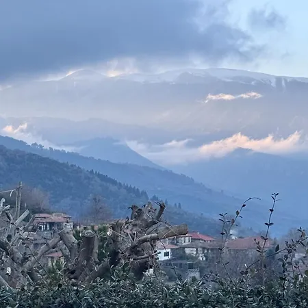 Tzeni Palios